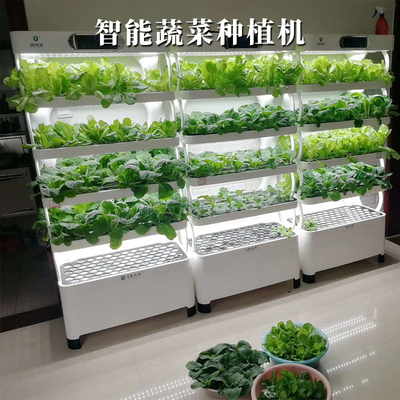 植物生長燈類別水培機水排行榜:24款優(yōu)良水培機水產(chǎn)品推薦