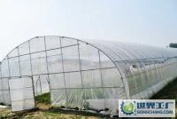 花卉種植[供應(yīng)]_花卉種植價(jià)格_花卉種植廠家_世界工廠網(wǎng)產(chǎn)品信息庫(kù)