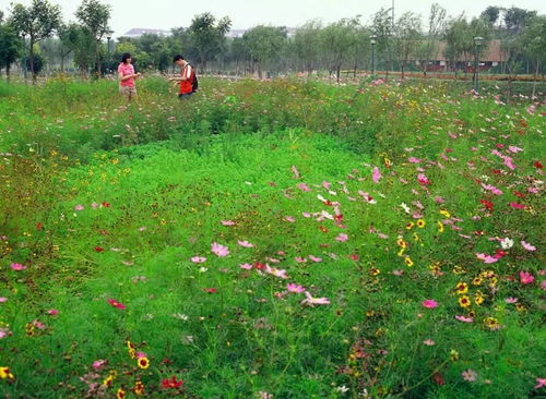 絕美花境,驚心動(dòng)魄