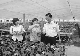 嘉興嚴格檢疫高風險花卉