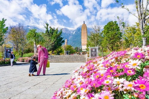 大理崇圣寺三塔文化旅游區上榜