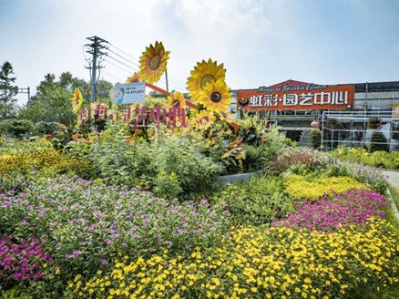 新春游攻略②丨期待 六區線路邊賞邊玩,今年春節就這么過