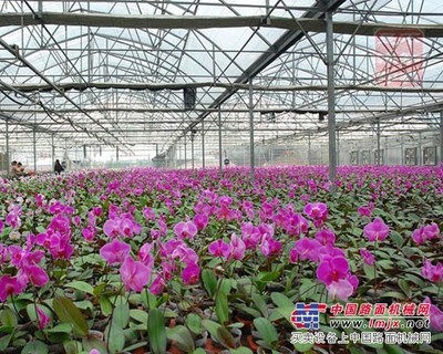 家彬溫室大棚專業(yè)供應花卉大棚|價格合理的花卉大棚