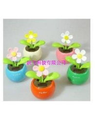 產品目錄 product