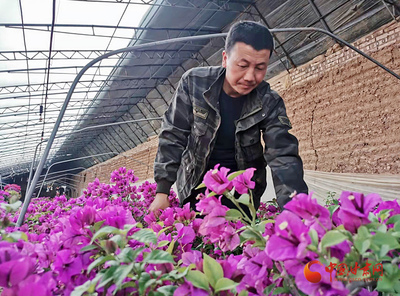 【奮進新征程 建功新時代 喜迎省第十四次黨代會】莊浪:產業鏈上的好光景