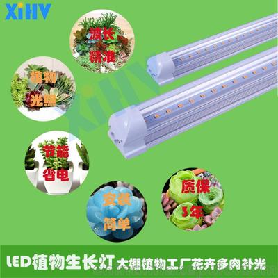 植物工廠花卉多肉盆栽層架式種植補光燈LED-T8燈管