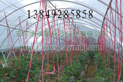 供應(yīng)新鄉(xiāng)花卉大棚