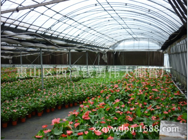 【廠家直銷 產品質量好價格便宜盆栽種植大棚 花卉大棚】價.