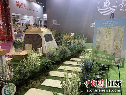 2023中花大會在無錫啟幕 匯集千余種花卉產品