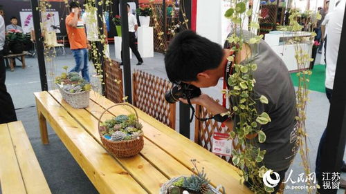 江蘇沭陽花木節開幕 展出多種精品盆景花卉